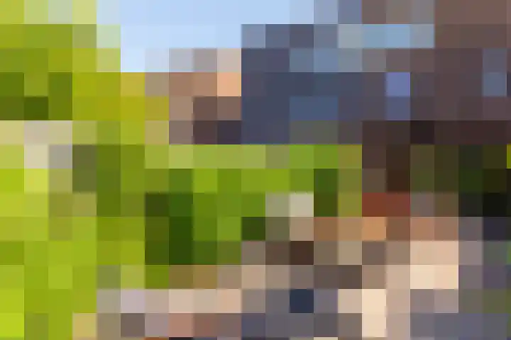Bosgouw 93 Almere thumbnail 18