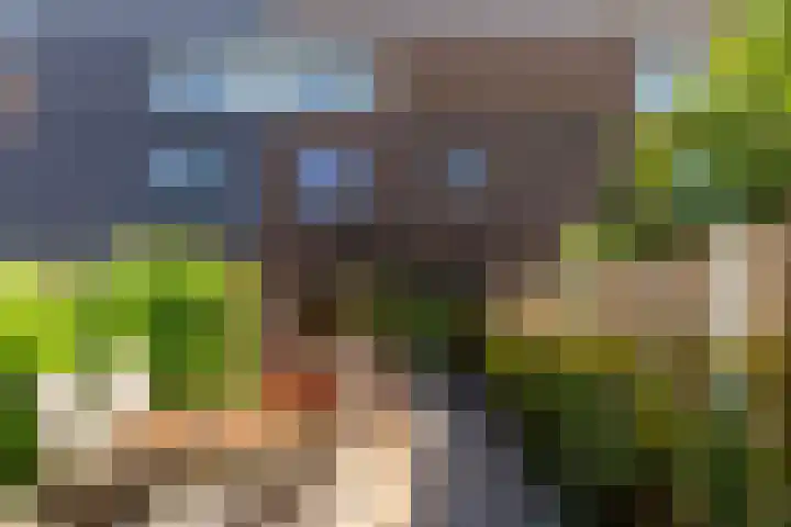 Bosgouw 93 Almere thumbnail 19