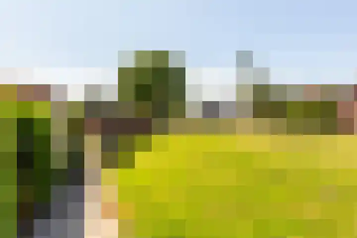 Bosgouw 93 Almere thumbnail 20
