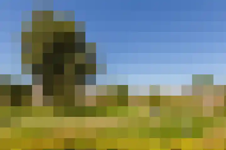 Bosgouw 93 Almere thumbnail 38