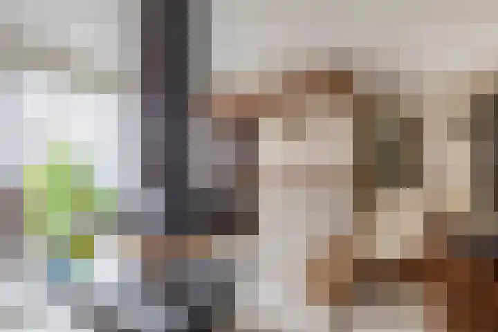 Bosheideweg 2 Kessel thumbnail 18