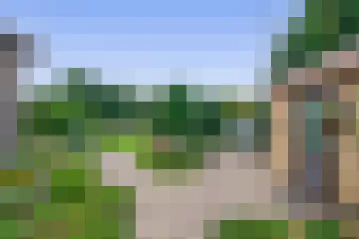 Bosheideweg 2 Kessel thumbnail 28