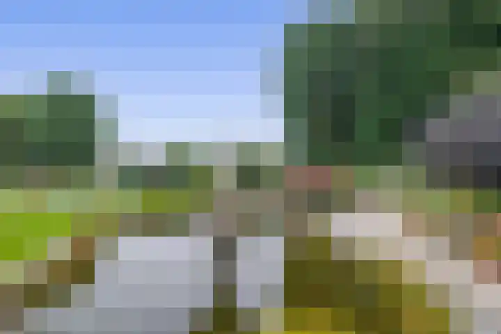 Bosheideweg 2 Kessel thumbnail 31