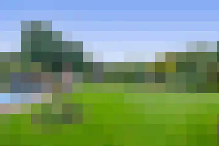 Bosheideweg 2 Kessel thumbnail 33
