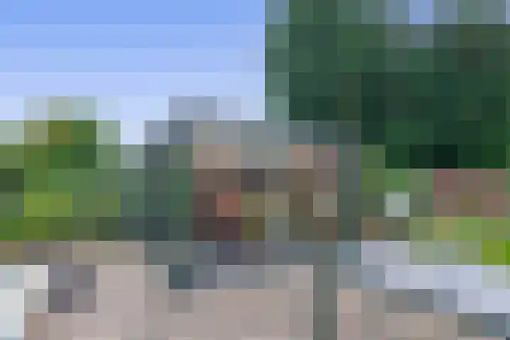 Bosheideweg 2 Kessel thumbnail 35