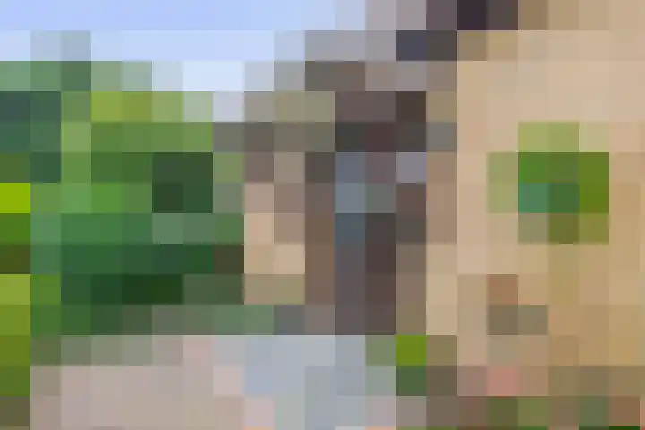 Bosheideweg 2 Kessel thumbnail 4