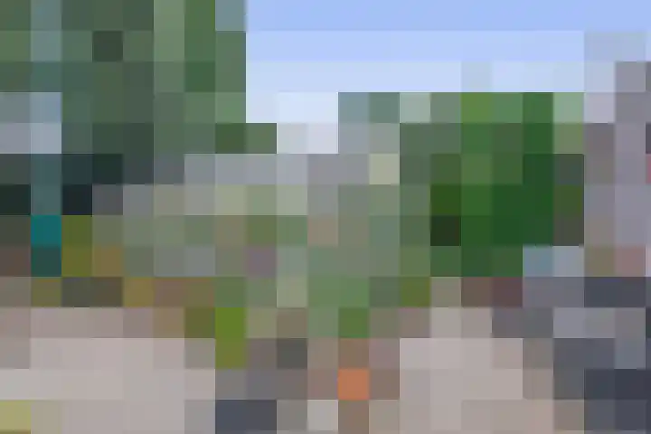 Bosheideweg 2 Kessel thumbnail 41