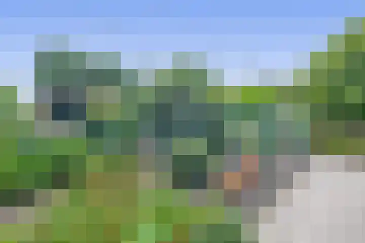 Bosheideweg 2 Kessel thumbnail 43
