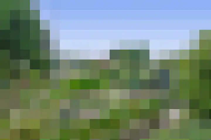 Bosheideweg 2 Kessel thumbnail 44