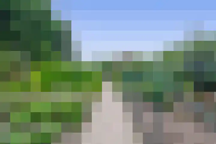 Bosheideweg 2 Kessel thumbnail 45