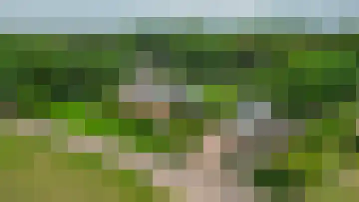 Bosheideweg 2 Kessel thumbnail 46