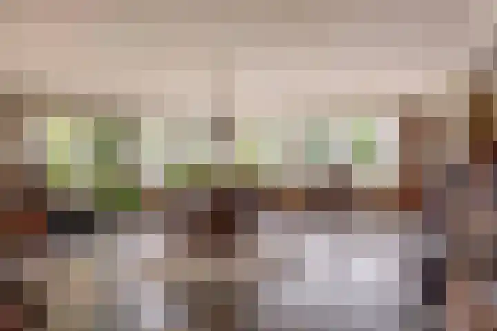 Bosheideweg 2 Kessel thumbnail 7