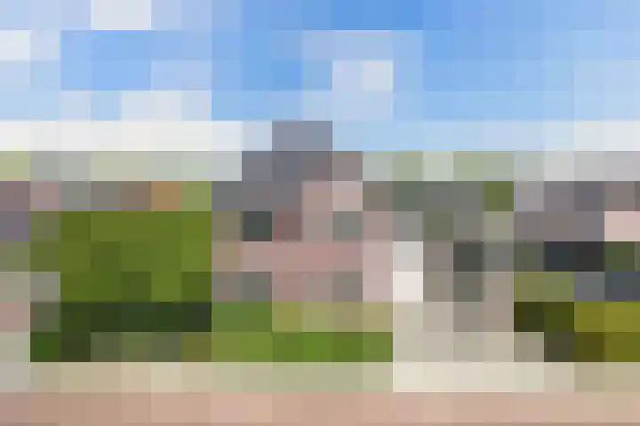 Boshoek 11 Bant thumbnail 11