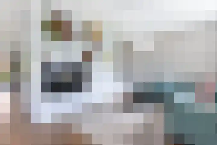 Boshoek 11 Bant thumbnail 21