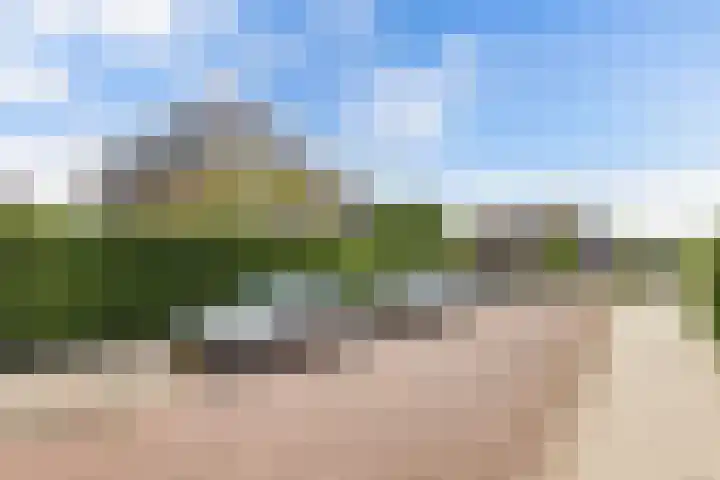 Boshoek 11 Bant thumbnail 9