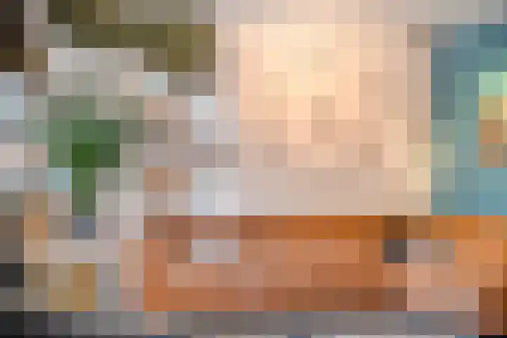 Boshoek 23 Vroomshoop thumbnail 10