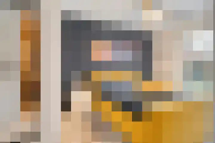 Boshoek 23 Vroomshoop thumbnail 20