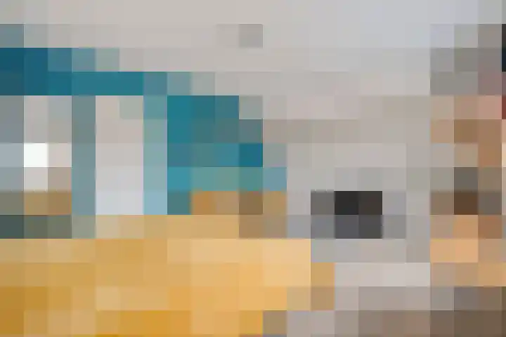 Boshoek 23 Vroomshoop thumbnail 27