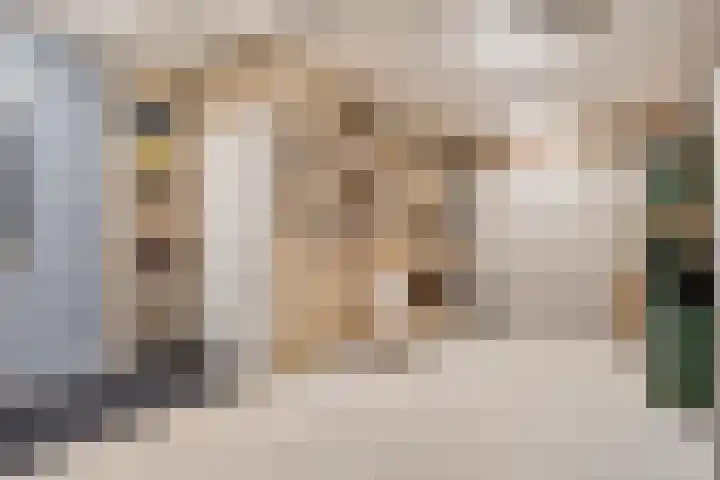 Boshoek 23 Vroomshoop thumbnail 36