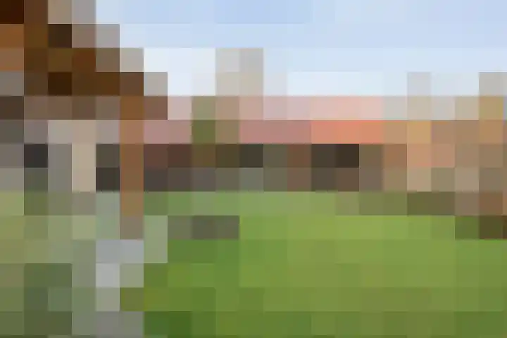 Boshoek 23 Vroomshoop thumbnail 38