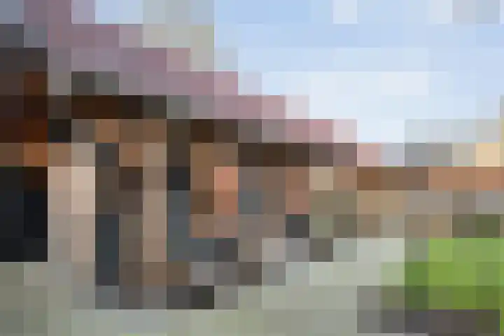 Boshoek 23 Vroomshoop thumbnail 40