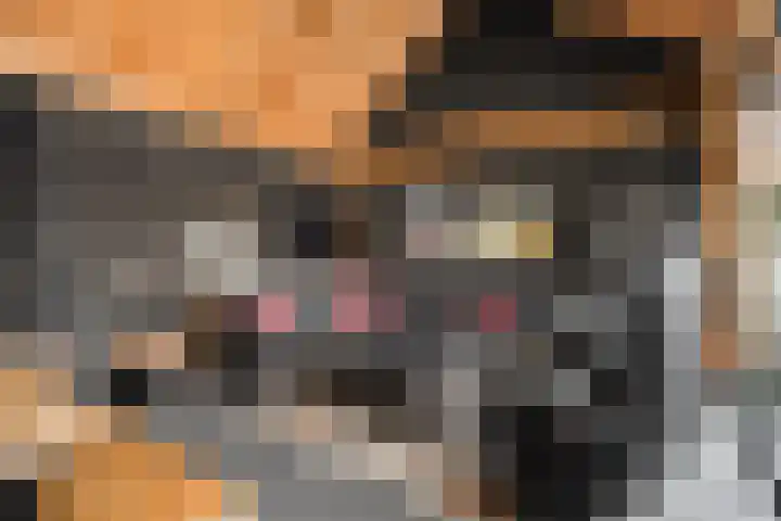 Boshoek 23 Vroomshoop thumbnail 41