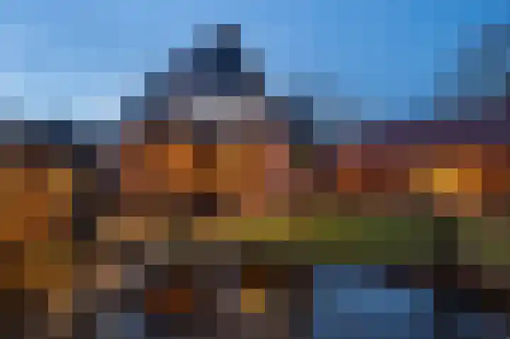 Boshoek 23 Vroomshoop thumbnail 50