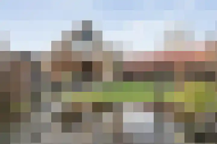 Boshoek 23 Vroomshoop thumbnail 51