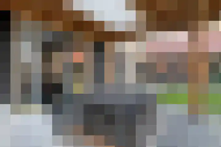 Boshoek 23 Vroomshoop thumbnail 53