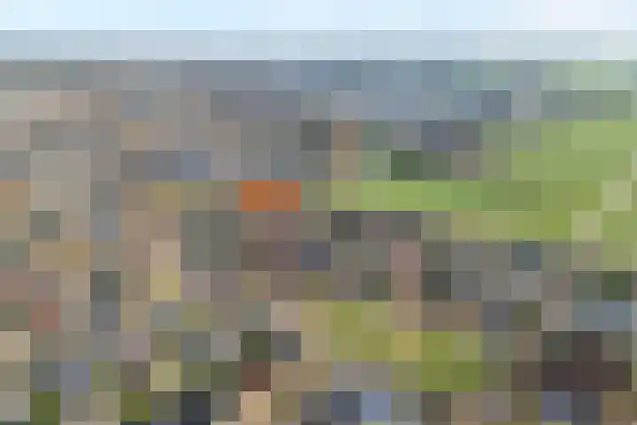 Boshoek 23 Vroomshoop thumbnail 55