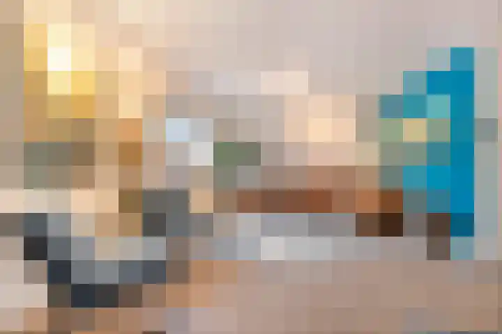 Boshoek 23 Vroomshoop thumbnail 8