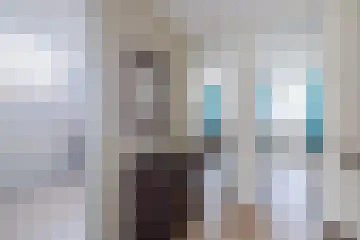 Boshoek 49 Vroomshoop thumbnail 18