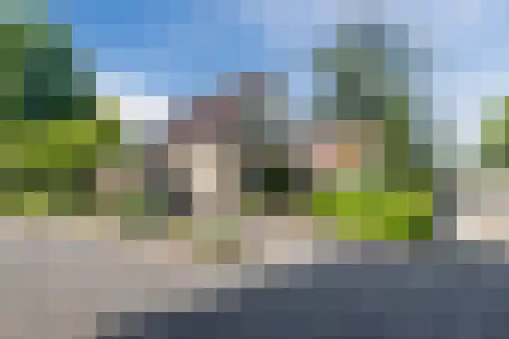 Boshoek 49 Vroomshoop thumbnail 32