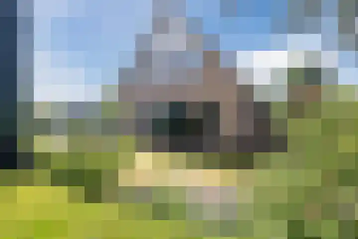 Boshoek 49 Vroomshoop thumbnail 33
