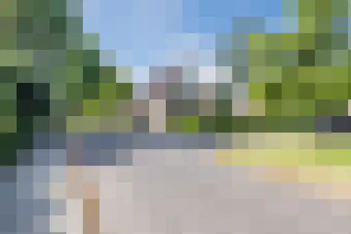 Boshoek 49 Vroomshoop thumbnail 34