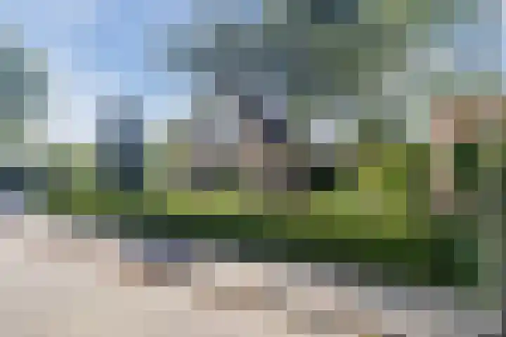 Boshoek 49 Vroomshoop thumbnail 35
