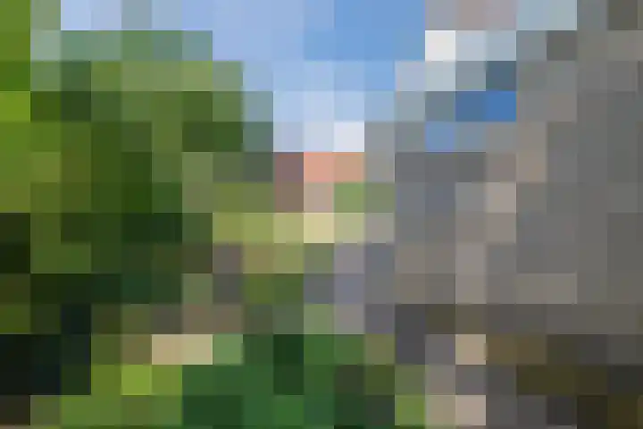 Boshoek 49 Vroomshoop thumbnail 37