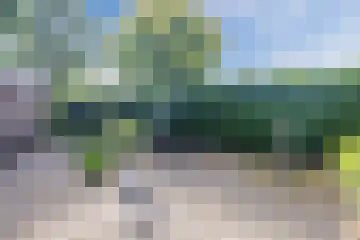 Boshoek 49 Vroomshoop thumbnail 38