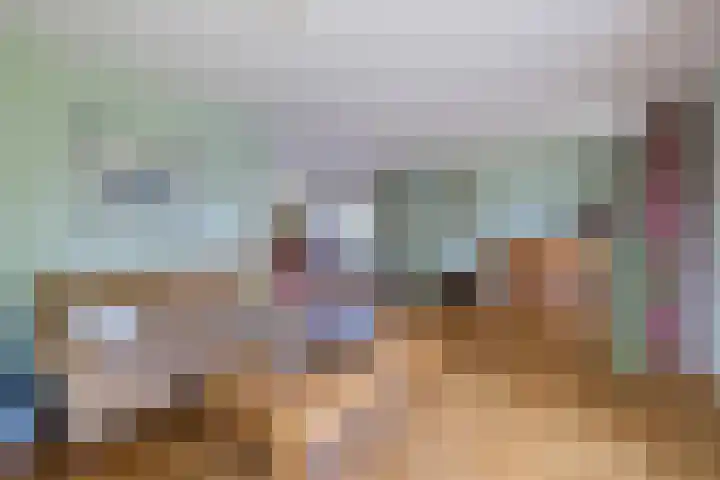 Boshoek 49 Vroomshoop thumbnail 7