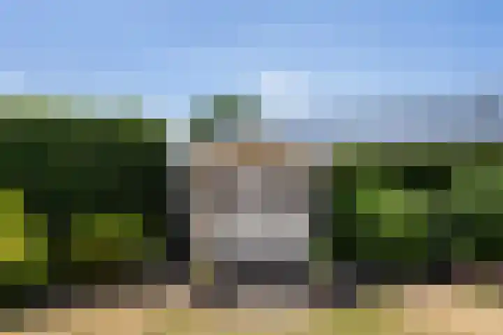 Boshoverbeek 20 Weert thumbnail 36