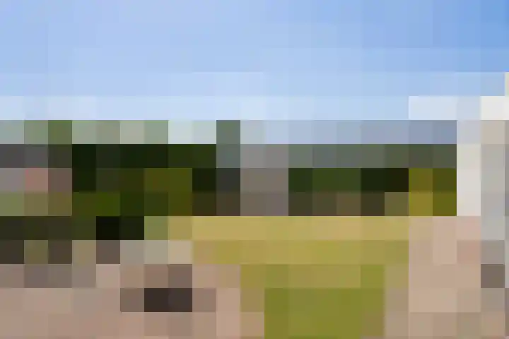 Boshoverbeek 20 Weert thumbnail 5