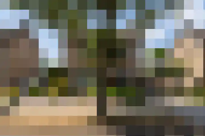 Boshoverbeek 20 Weert thumbnail 7