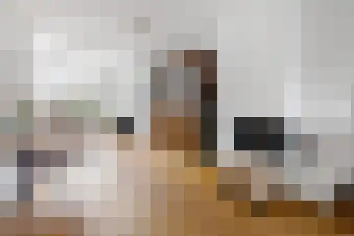 Boshuizerlaan 18 Leiden thumbnail 13