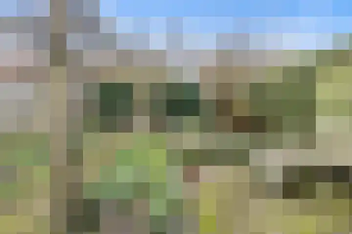 Boshuizerlaan 18 Leiden thumbnail 21