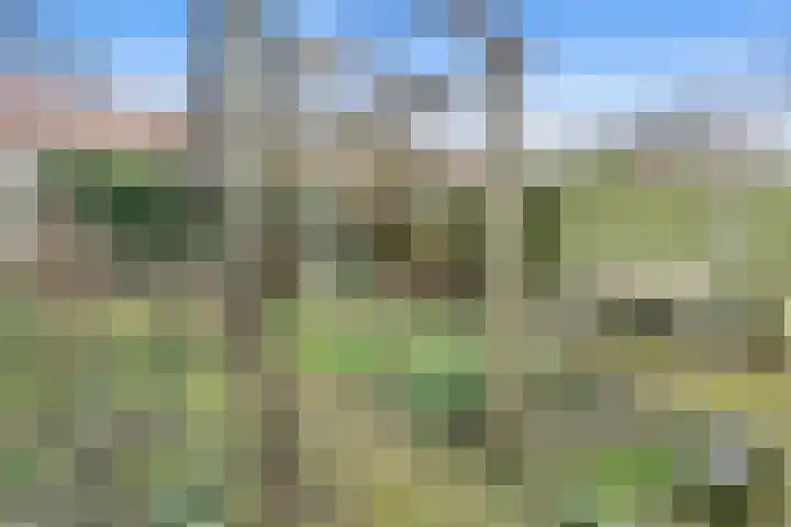 Boshuizerlaan 18 Leiden thumbnail 4