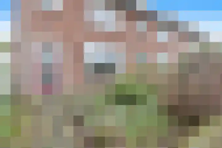 Boshuizerlaan 18 Leiden thumbnail 5