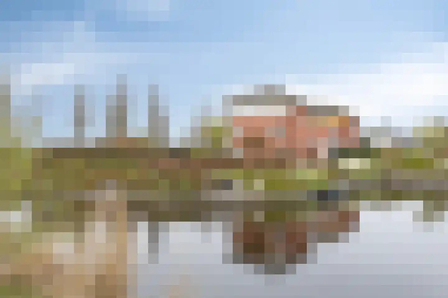 Boskamp 17 Oosterwolde
