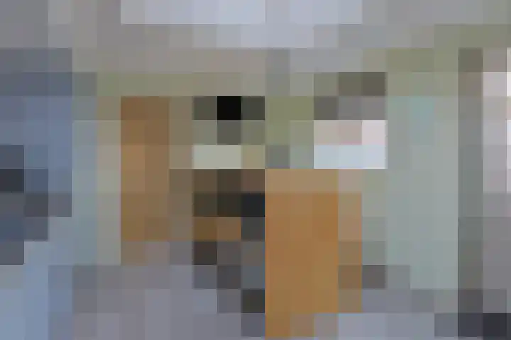 Boskampen 13 Gieten thumbnail 14
