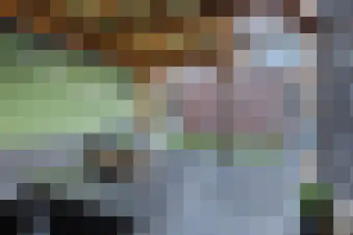 Boskampen 13 Gieten thumbnail 32