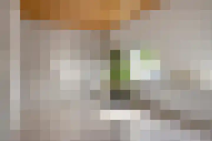 Boskamphoek 16 Enschede thumbnail 20